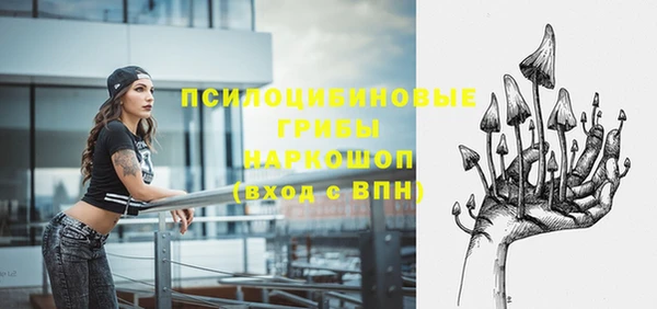 индика Алзамай