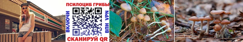 Псилоцибиновые грибы ЛСД  Купить  Сковородино 