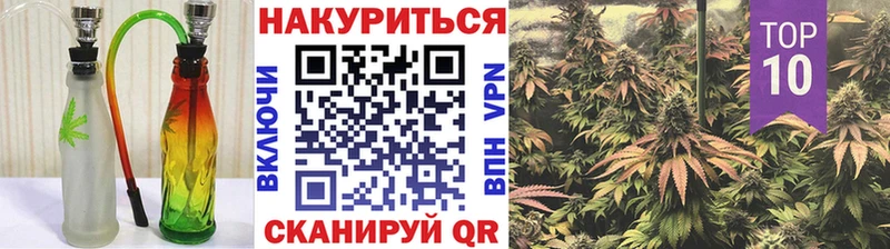 Канабис семена  Купить где  Сковородино 